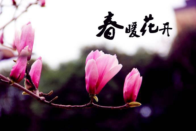 春暖花開(kāi) 教你春季如何做汽車保養(yǎng)！