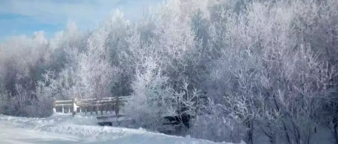奕行記|奕路向北，駛向雪國阿爾山